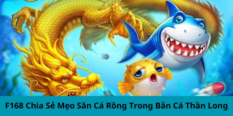 F168 Chia Sẻ Mẹo Săn Cá Rồng Trong Bắn Cá Thần Long